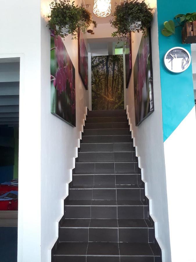 טאנה ראטה Oyo 90760 Lily Haven Hotel מראה חיצוני תמונה